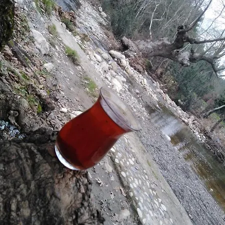 Kosar Gyd Lägenhet *